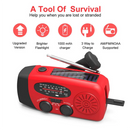 RescueRay Emergency LED Torch & AM/FM Radio with Hand Crank Power